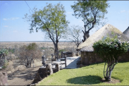 Upland Bird Hunt Package