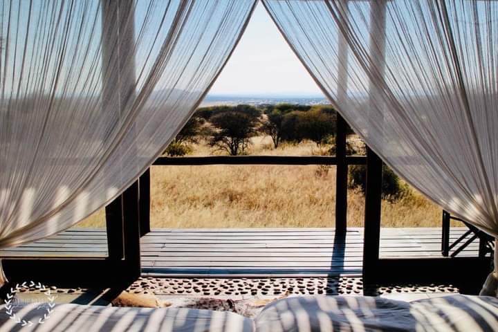 Father and Namibian Hunting Safari (Blue Wildebeest, Gemsbok (Oryx), Hartmann's Mountain Zebra, Impala) — Farm Kleeberg, Namibia