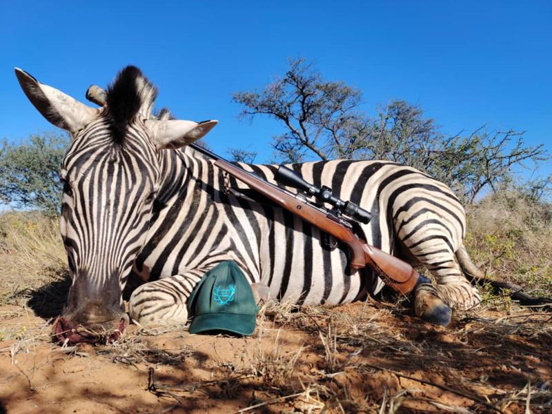 Father and Namibian Hunting Safari (Blue Wildebeest, Gemsbok (Oryx), Hartmann's Mountain Zebra, Impala) — Farm Kleeberg, Namibia