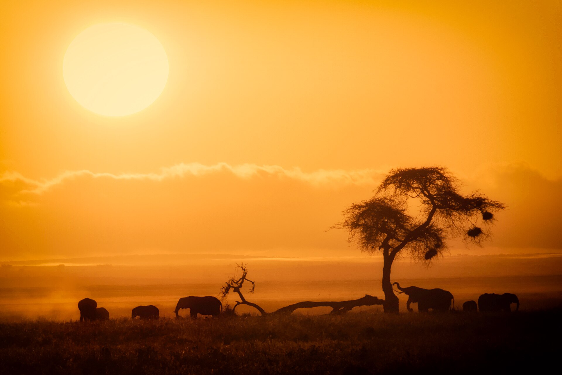 African Sunrise, Amboseli National Park — Matetsi Buffalo — 10 Days, Zimbabwe hunt package
