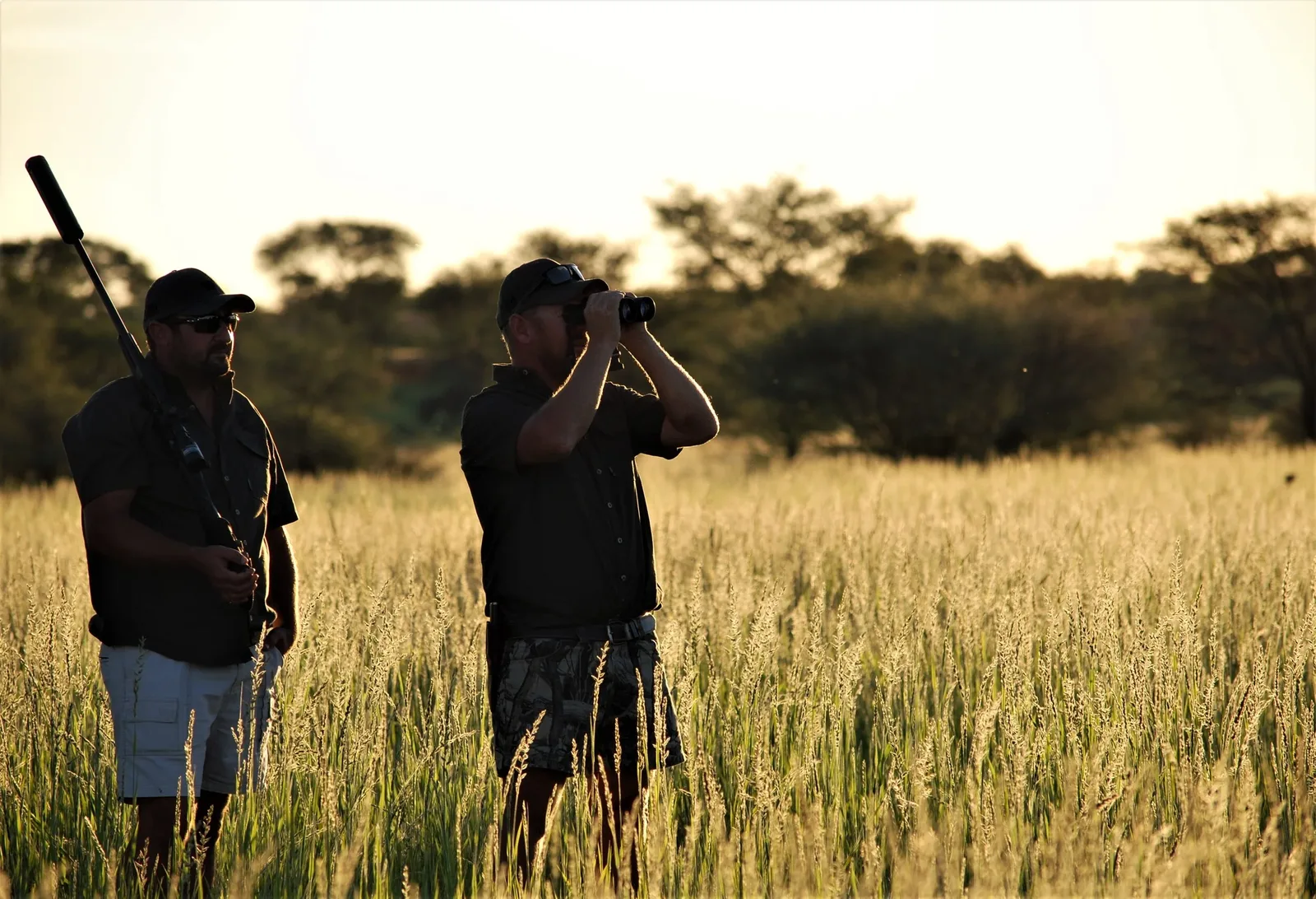 Plains Game Hunting Safaris