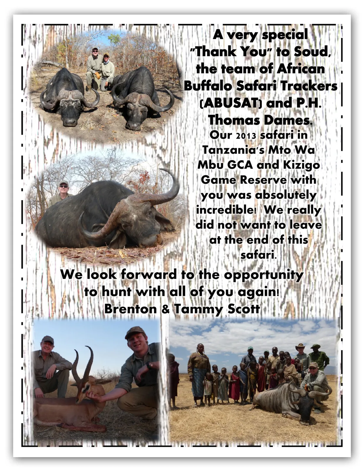 African Buffalo Safari Trackers Ltd