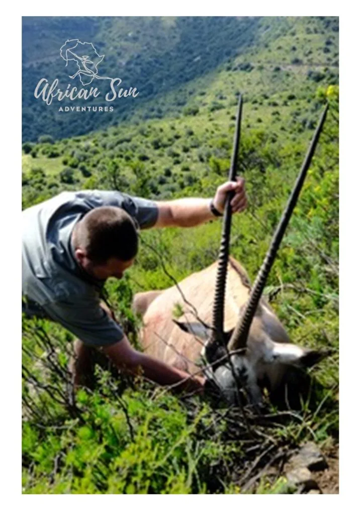 African Sun Adventures