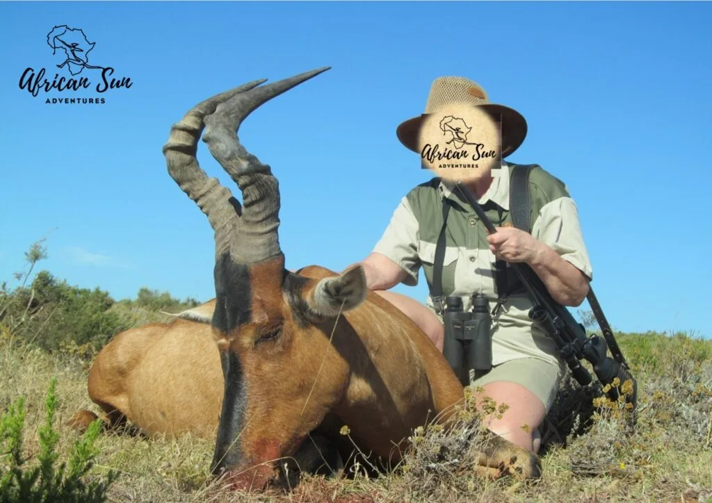 African Sun Adventures