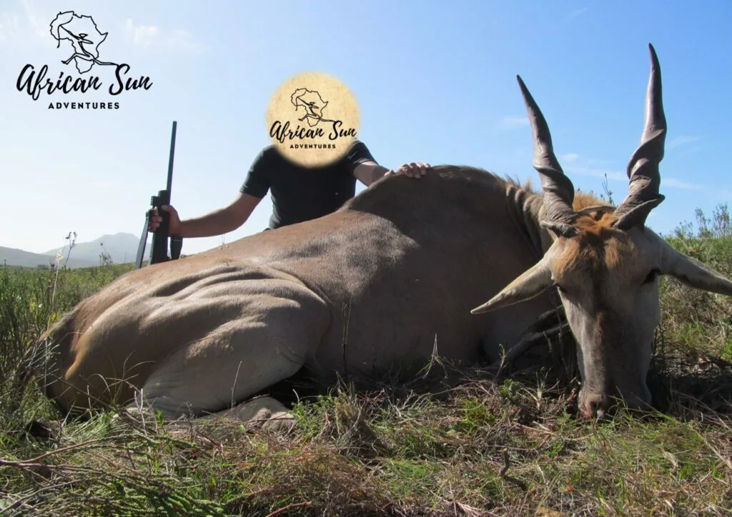 African Sun Adventures
