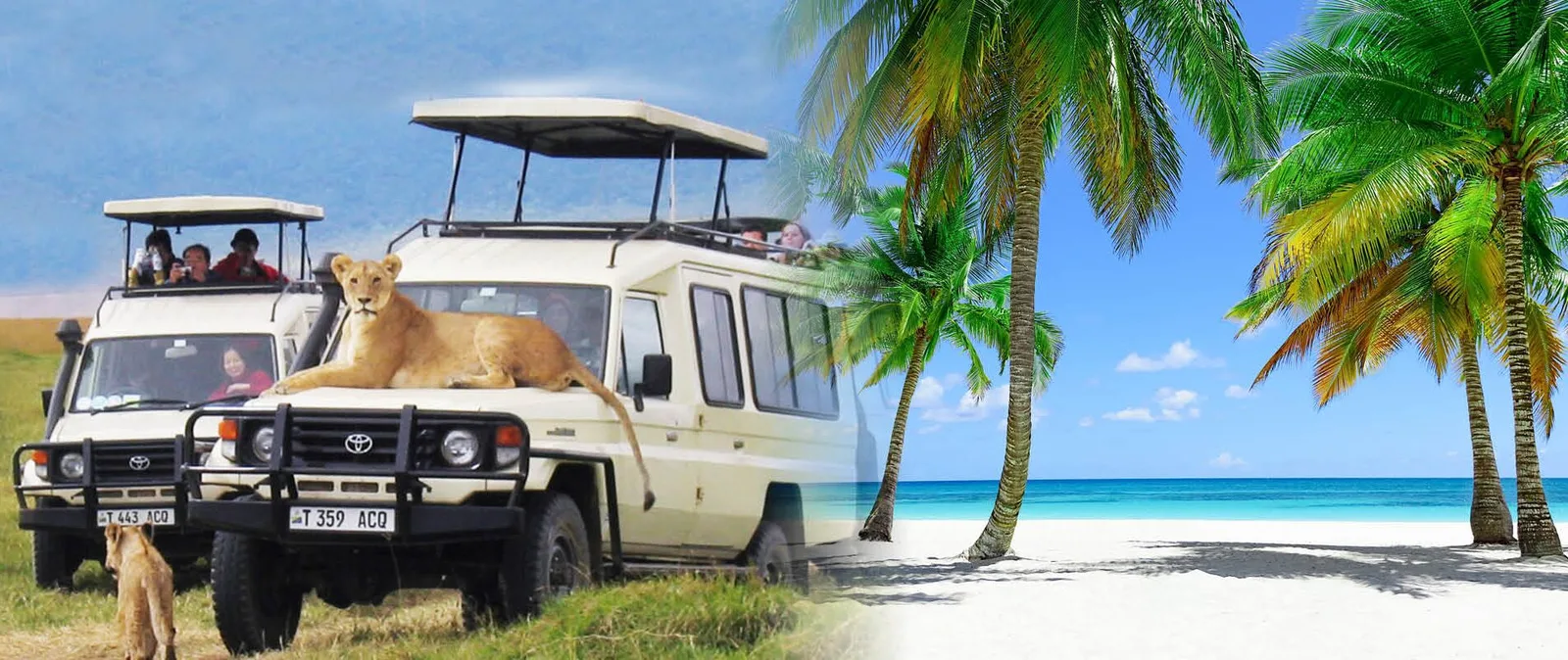 Askari Tours & Hunting