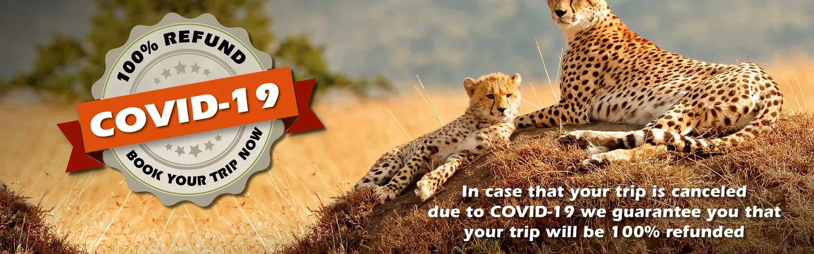 Askari Tours & Hunting