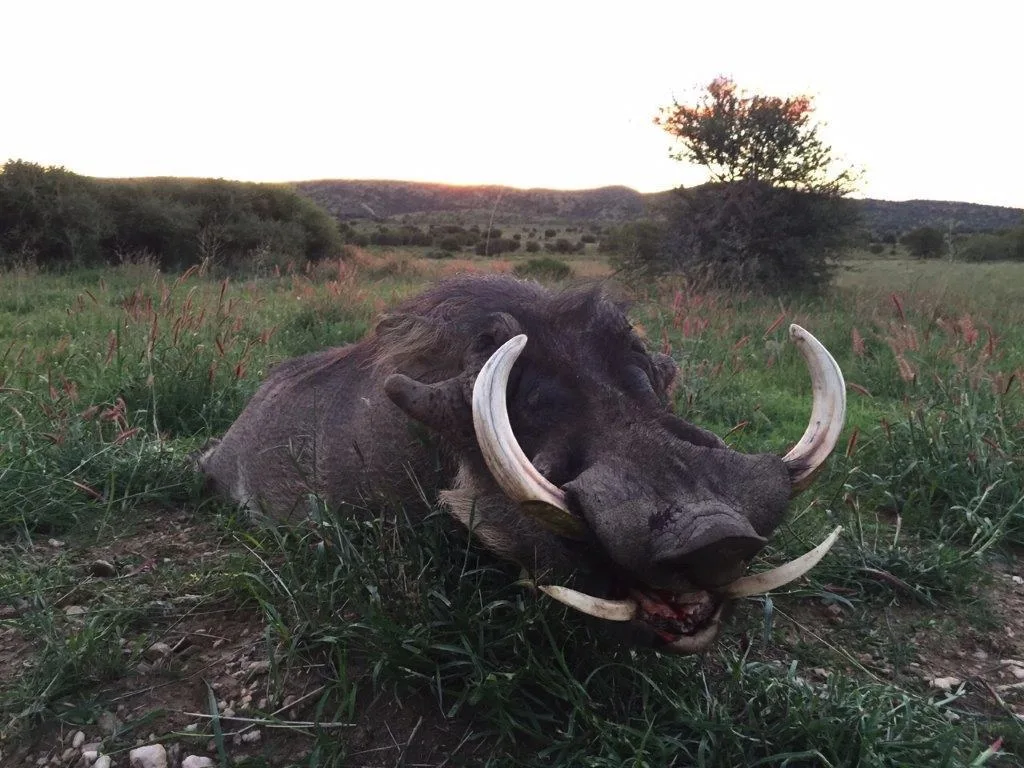 Bellerode Hunting Jagd Safaris