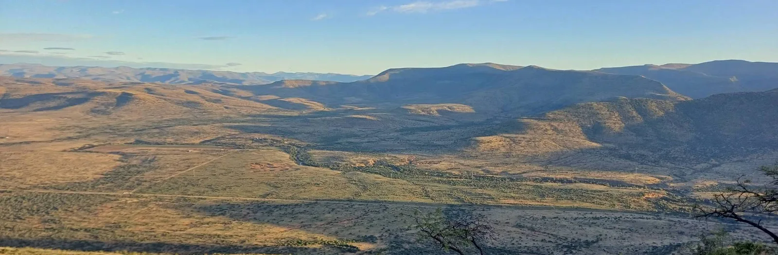 Belvedere Safaris