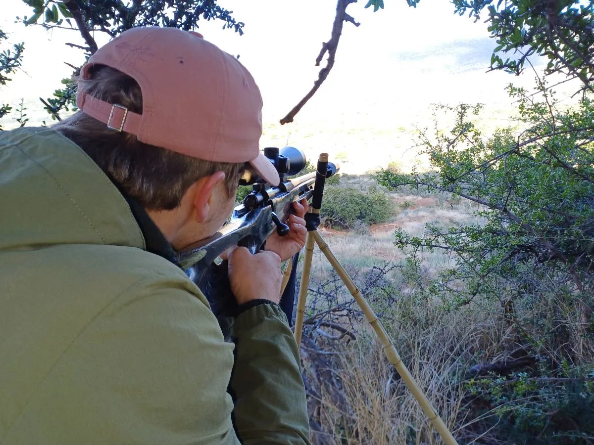 Belvedere Safaris