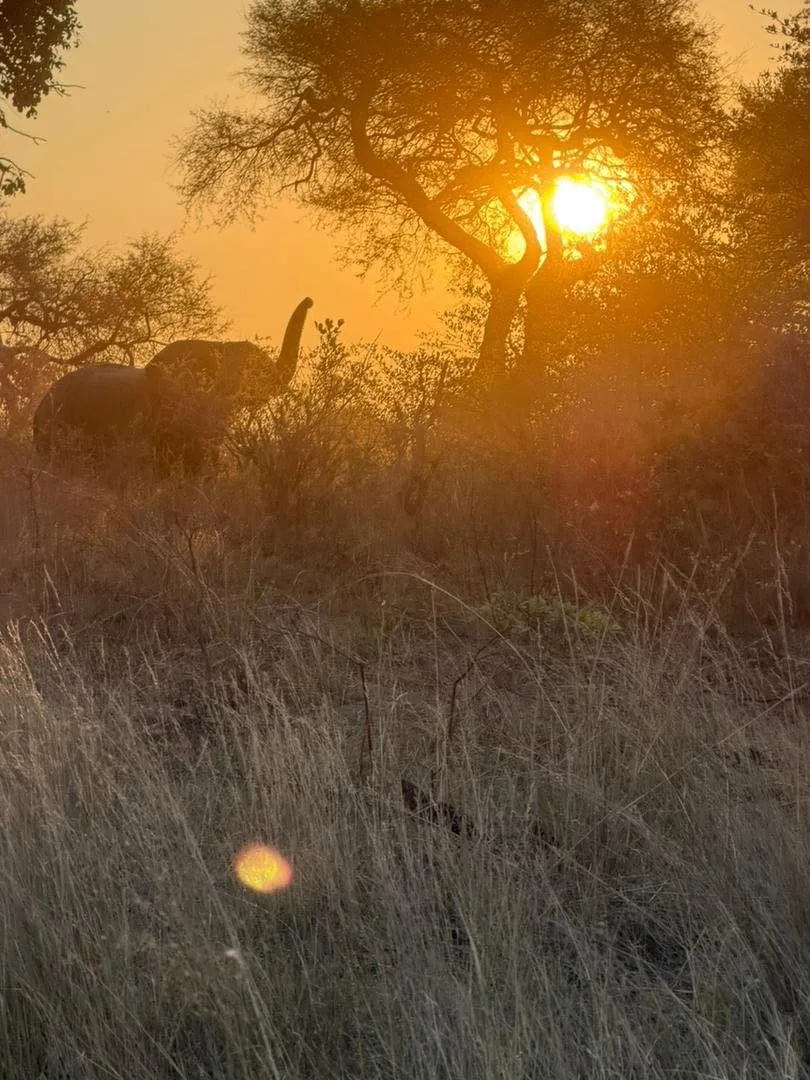 Bergzicht Game Lodge