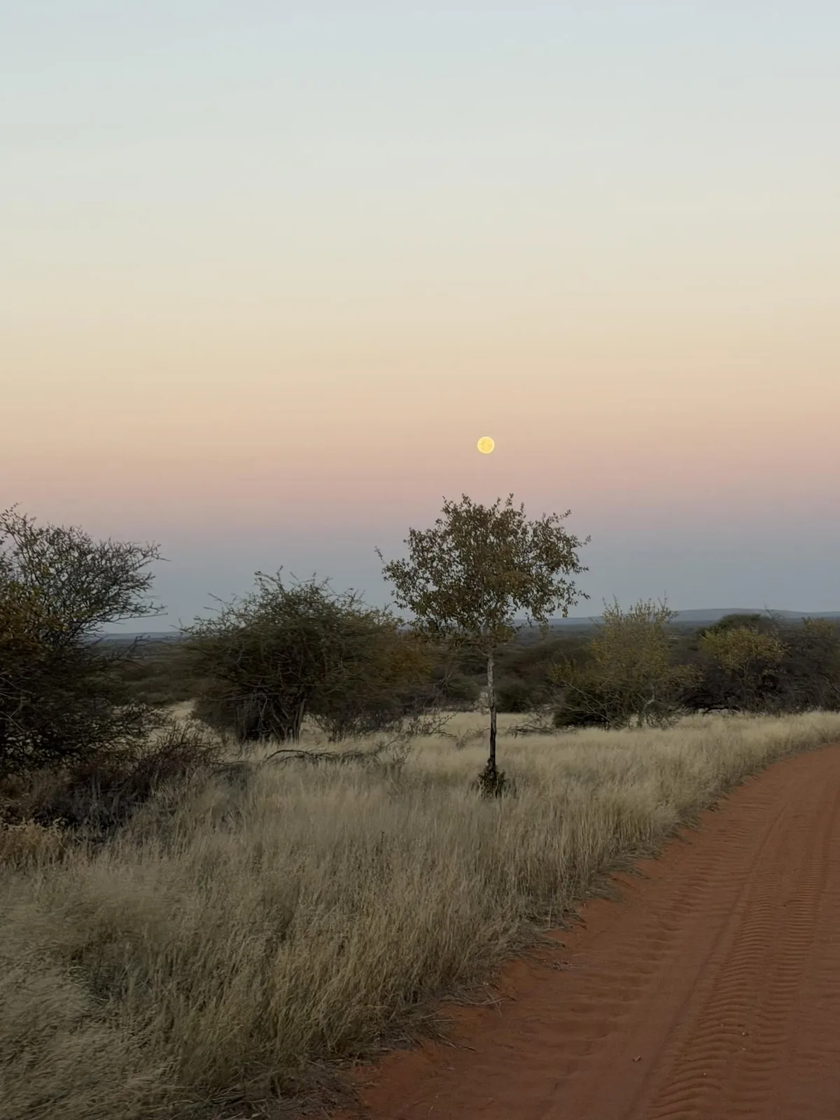 Bergzicht Game Lodge