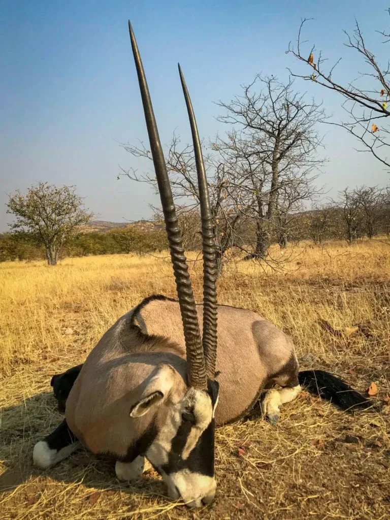 byronHartAfricanSafaris-704