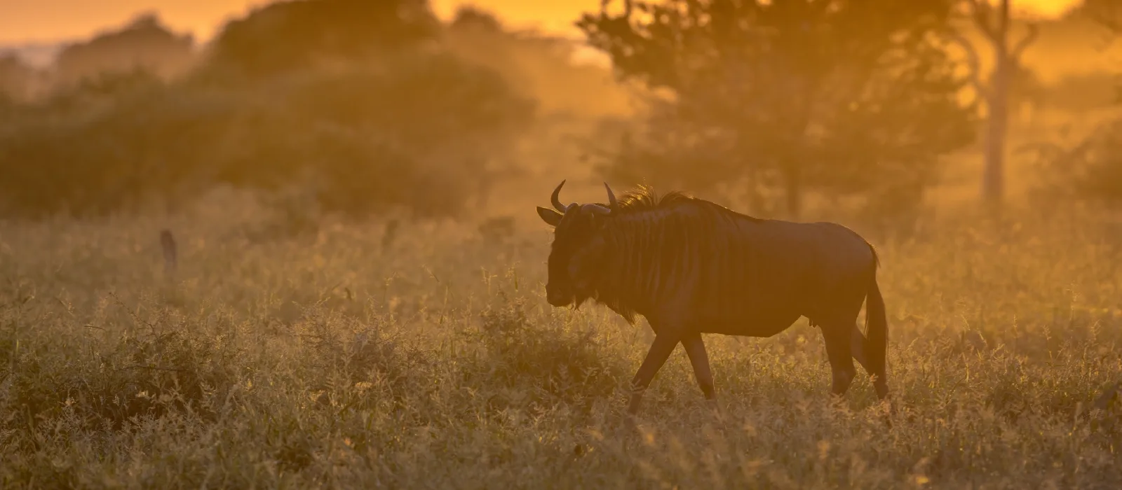 Duiker Safaris Namibia