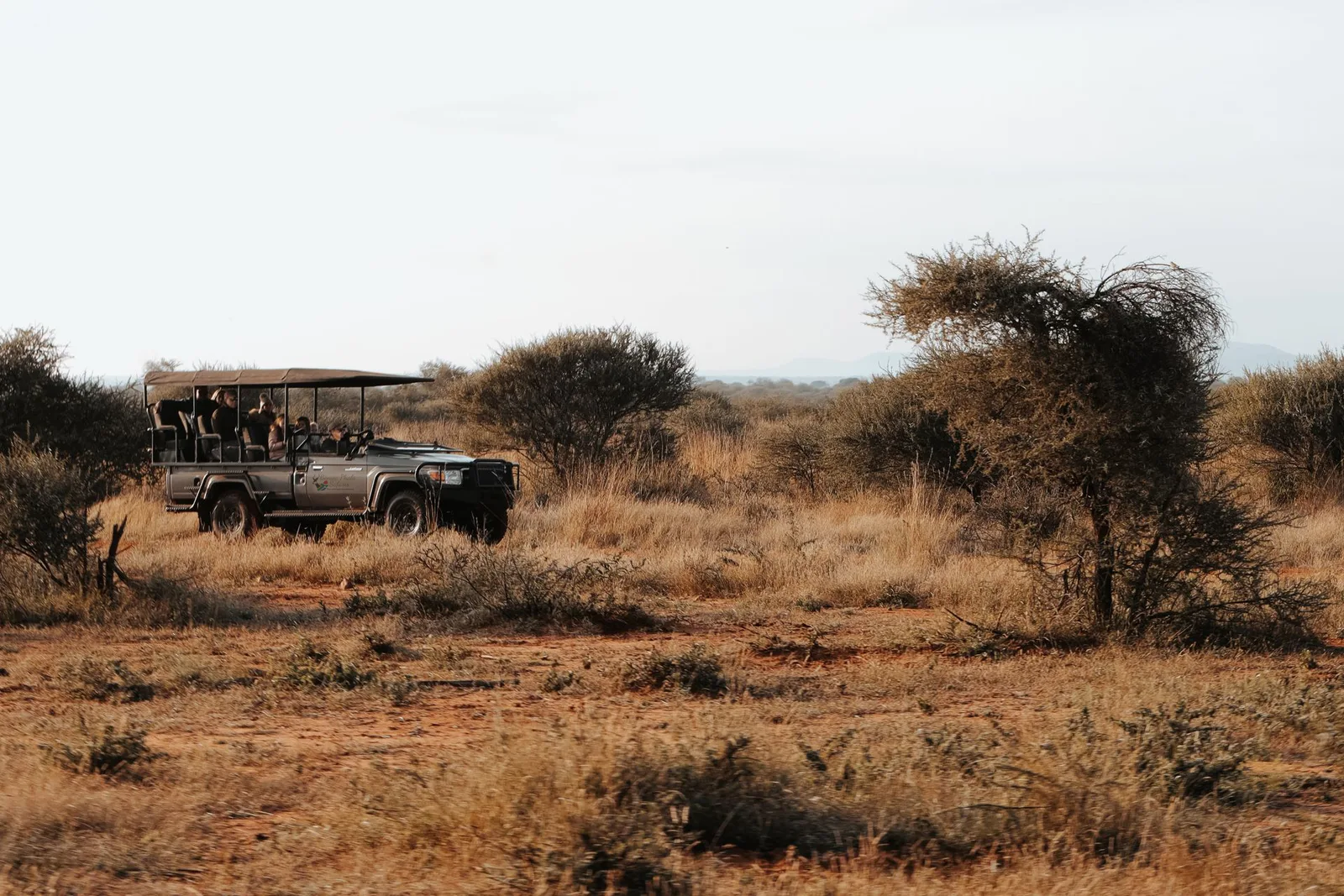 BP Safaris