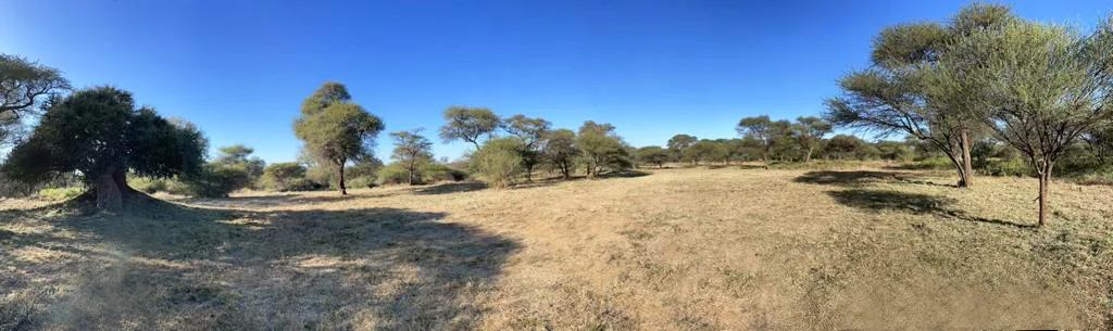 Bushmoon Safaris