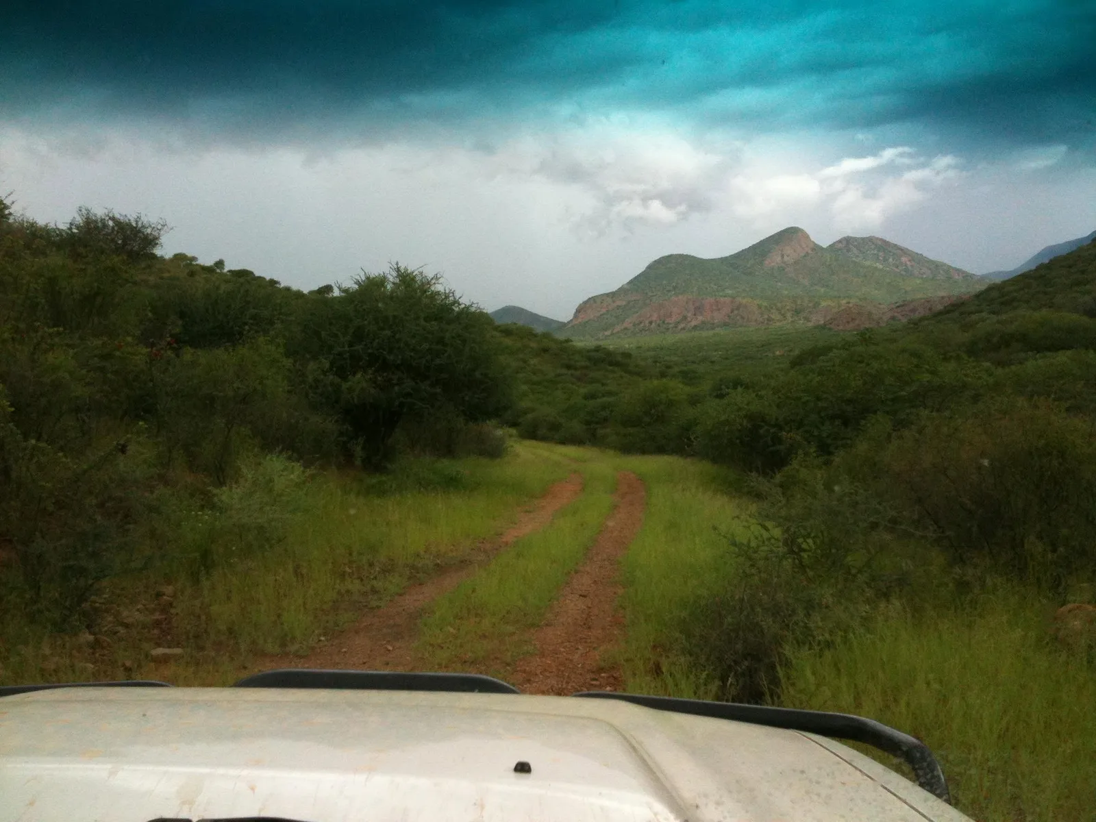 Camelthorn Safaris