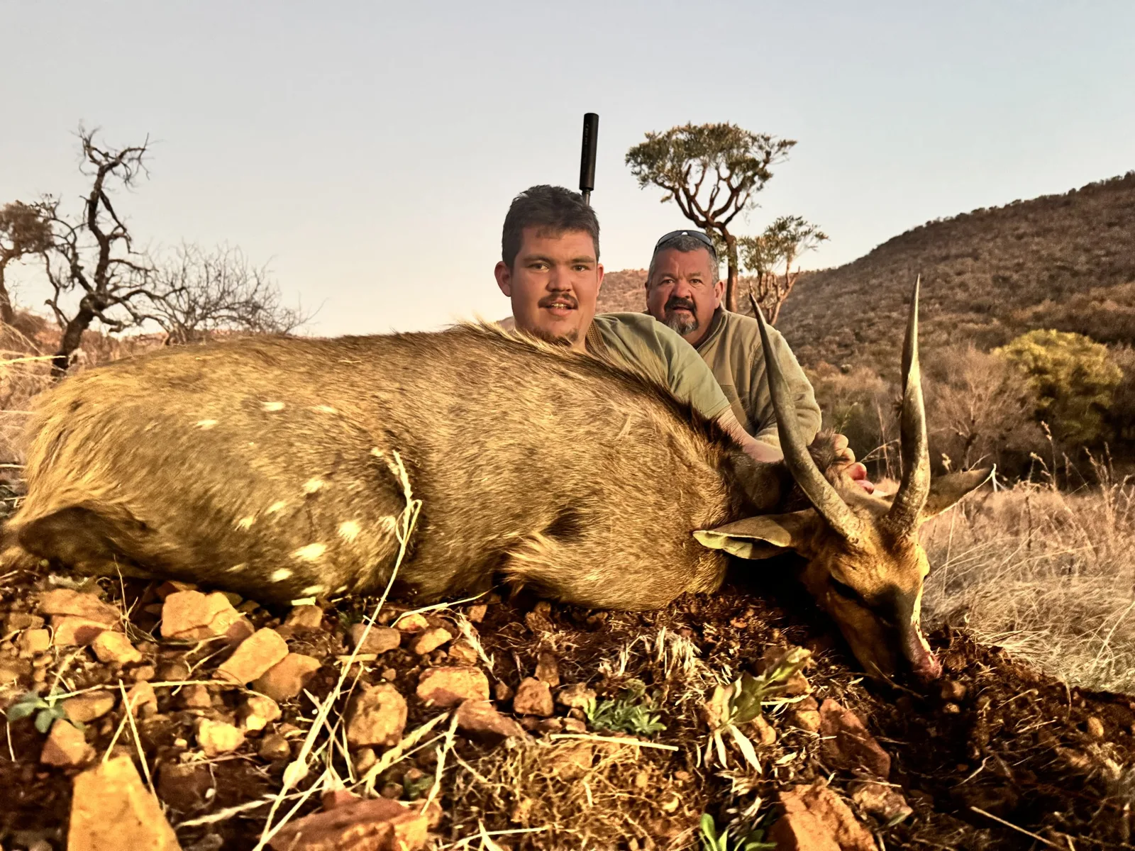 Cowley Safaris