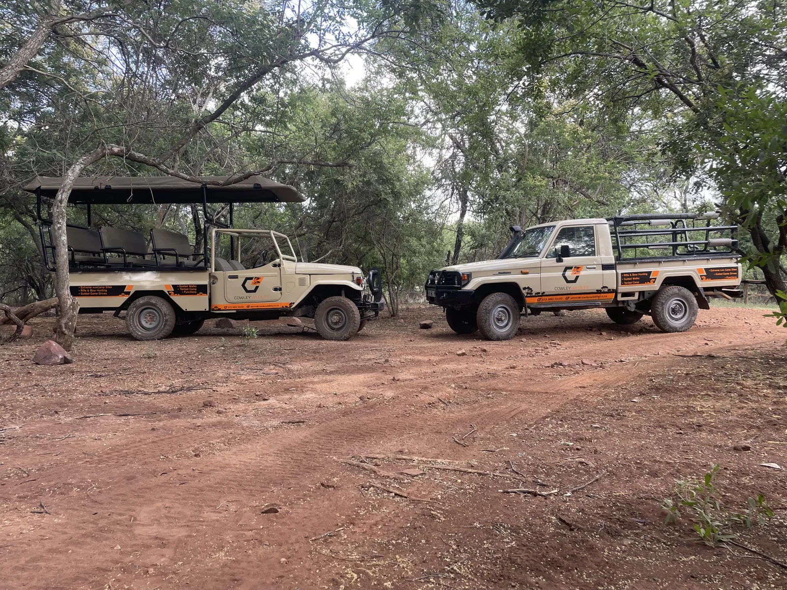 Cowley Safaris
