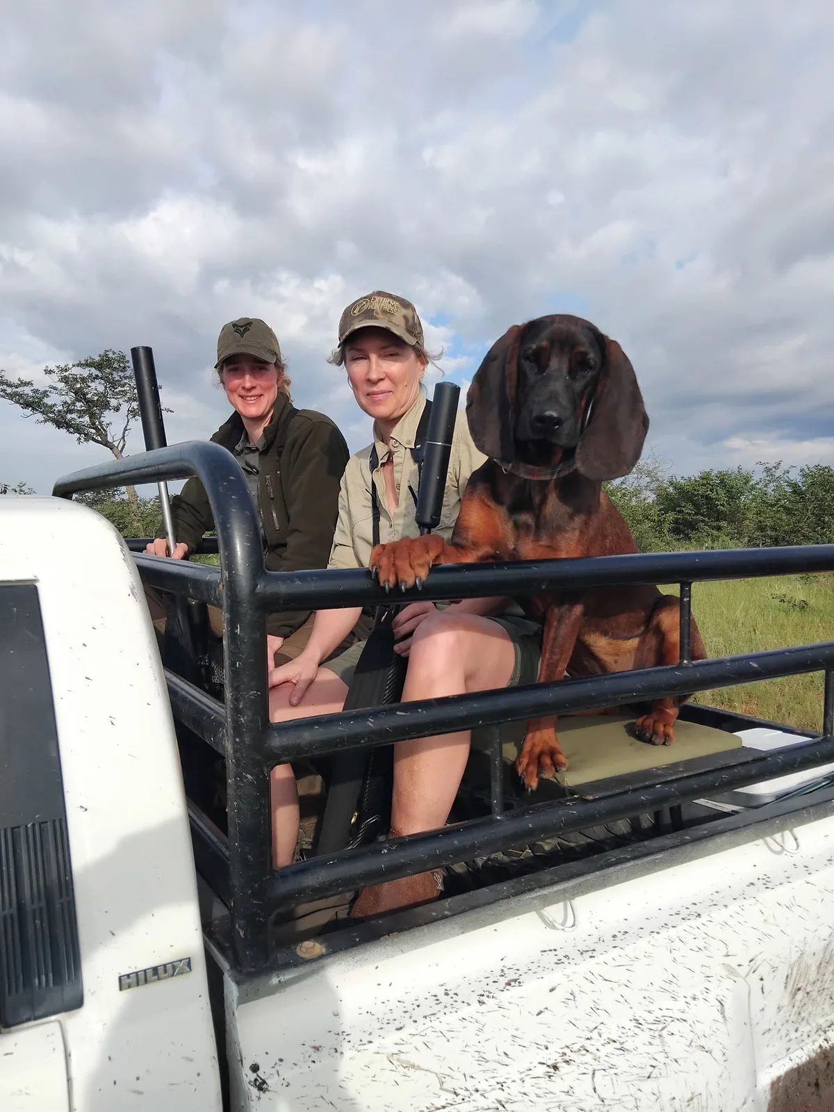 Game Ranch Transvaal