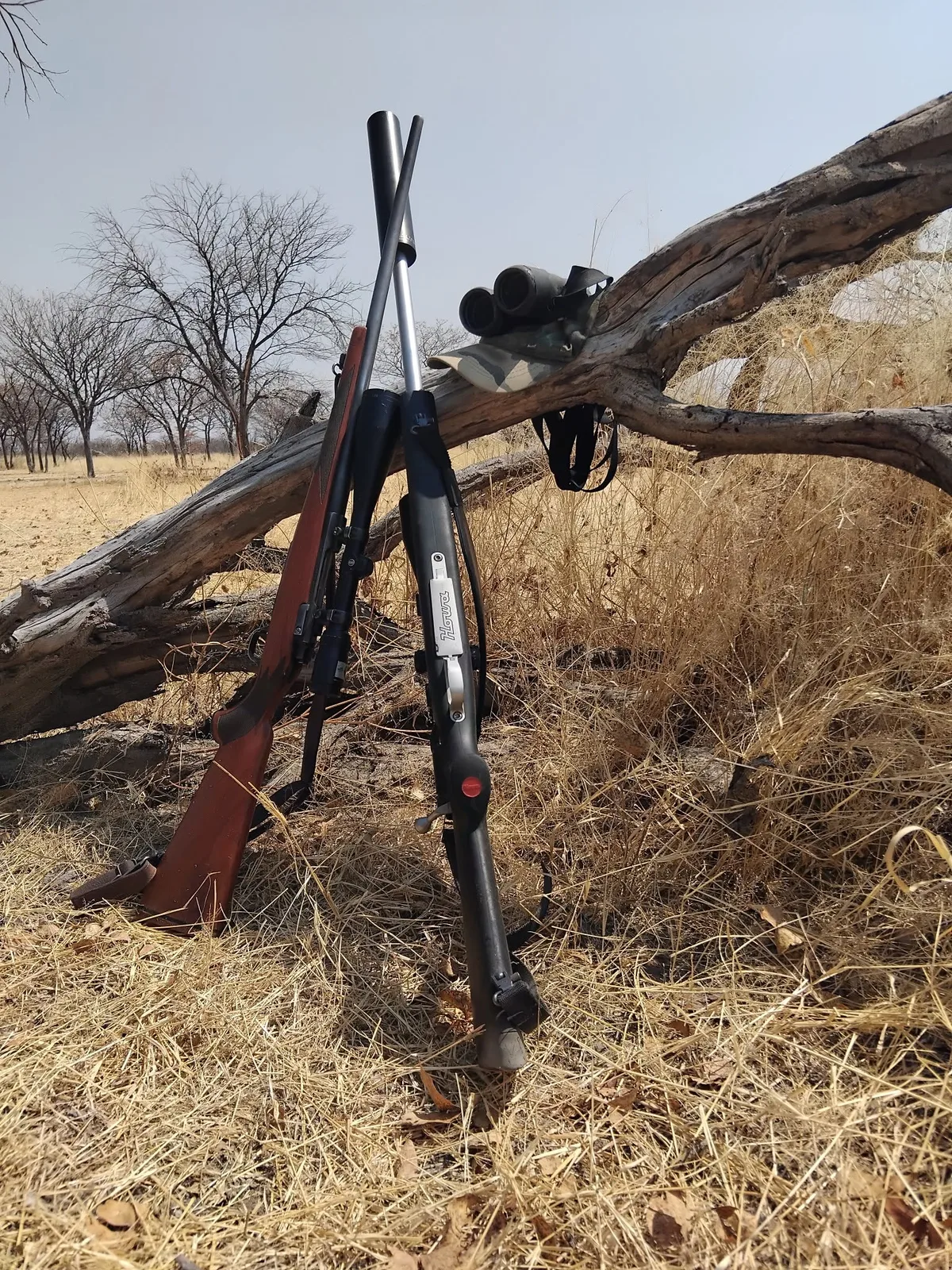 Game Ranch Transvaal