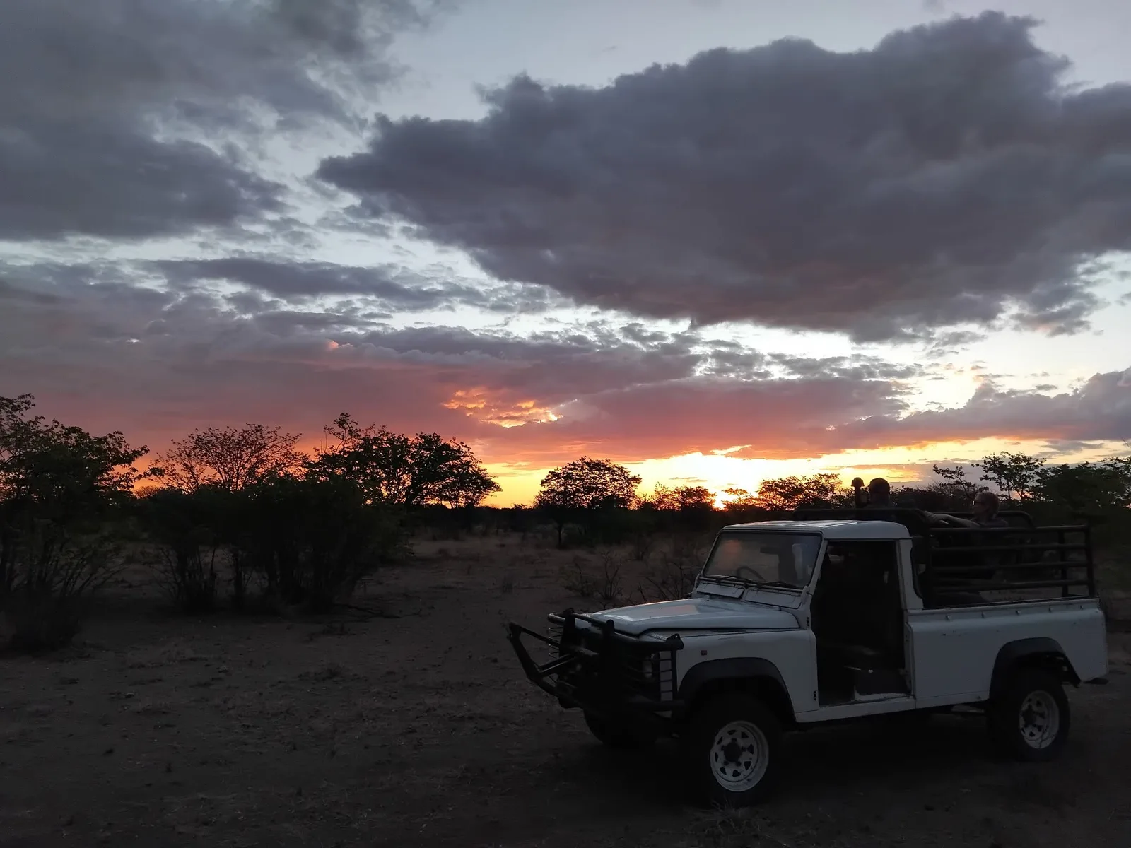 Game Ranch Transvaal