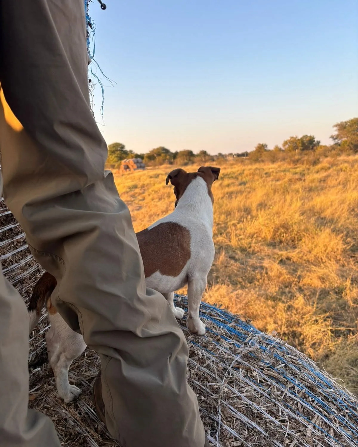 Daggaboy Hunting Safaris