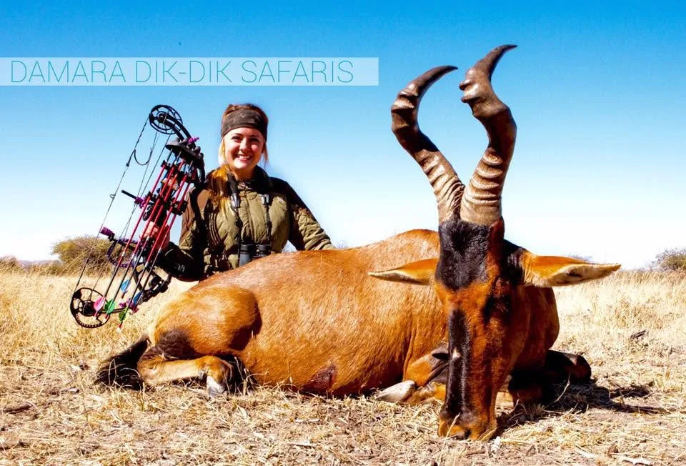Damara Dik-Dik Safaris