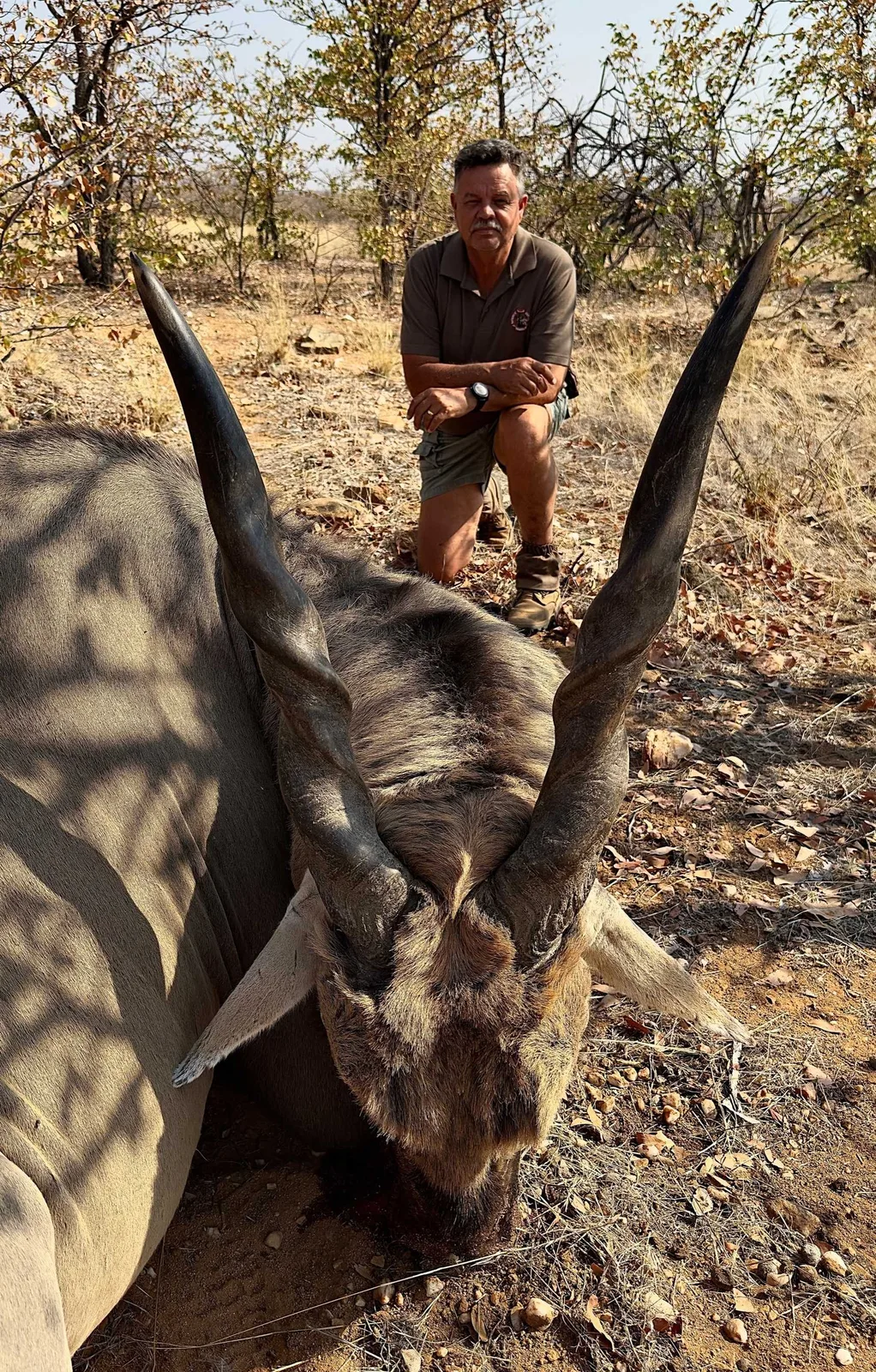 Estreux Safaris CC