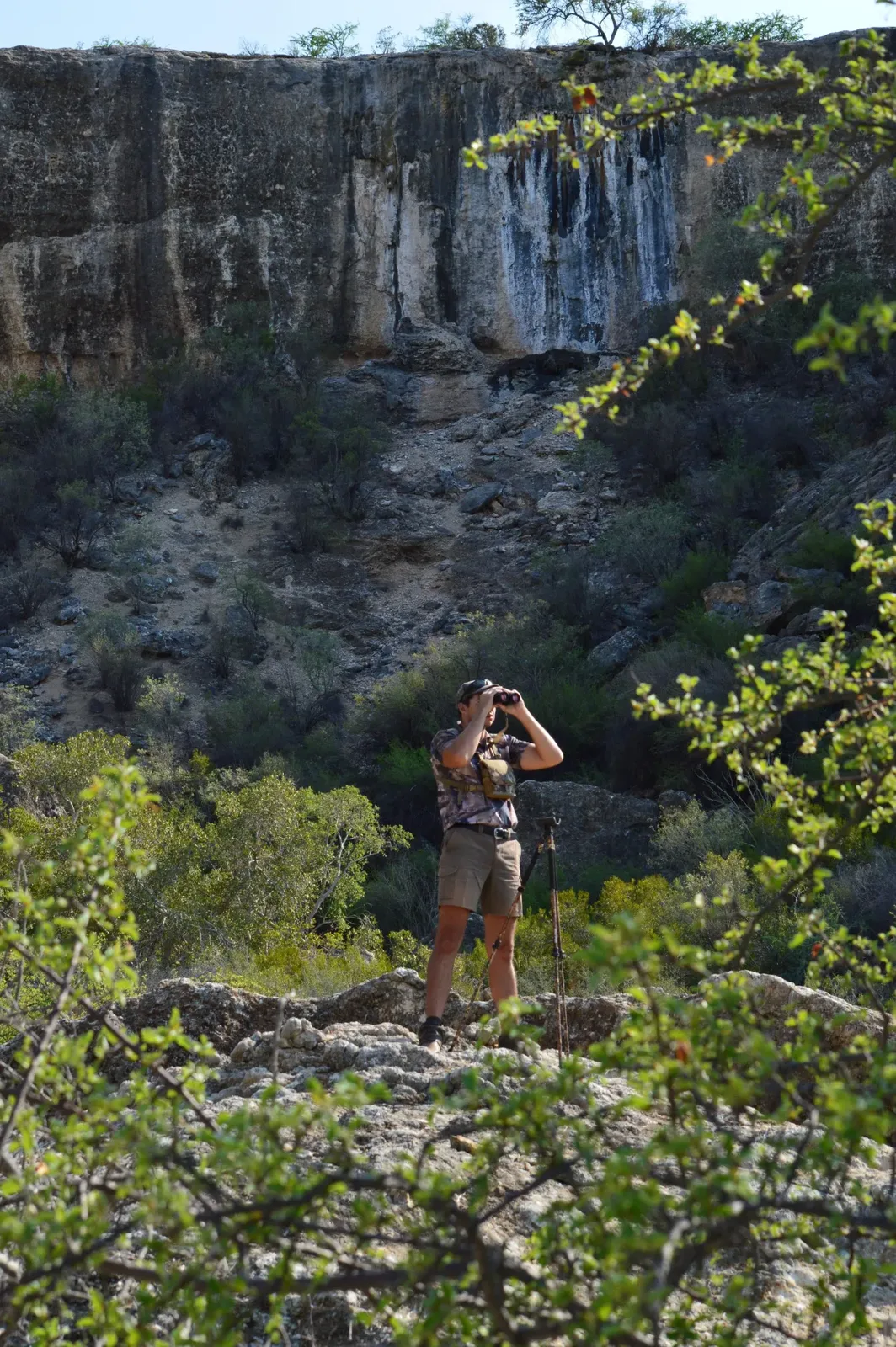 Eureka Hunting Safaris