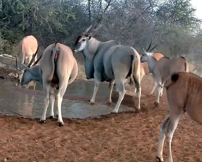 Farm Omambonde Tal