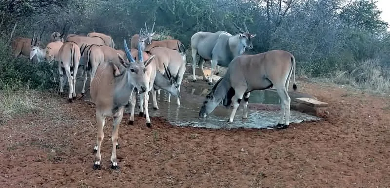 Farm Omambonde Tal