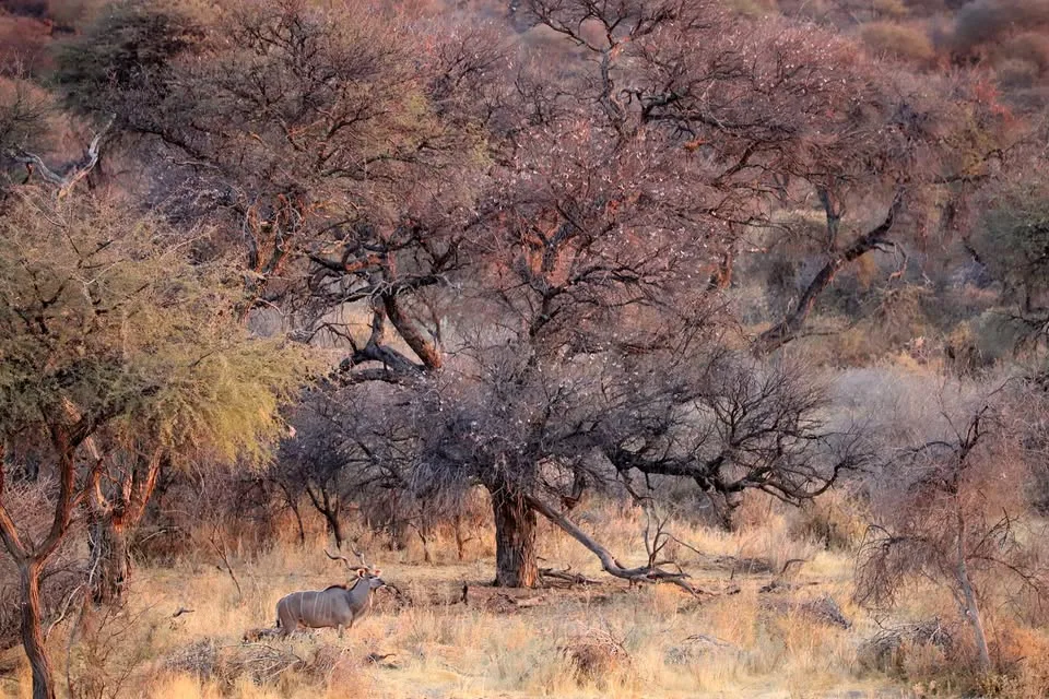Farm Omambonde Tal