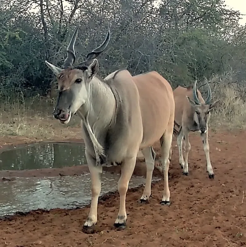 Farm Omambonde Tal