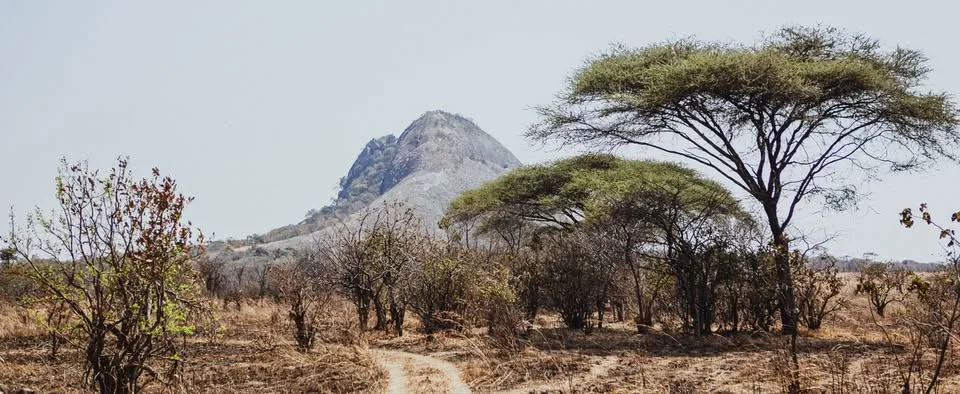 Game Frontiers of Tanzania Ltd