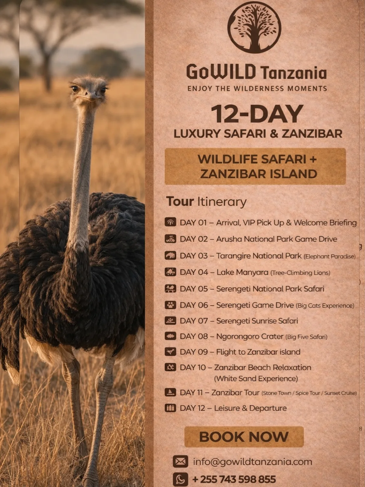 Go Wild Hunting Safaris Ltd