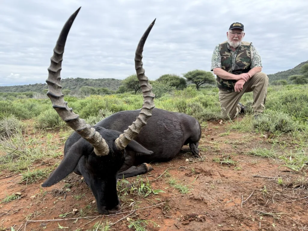 Black Impala Graham Sales Safaris