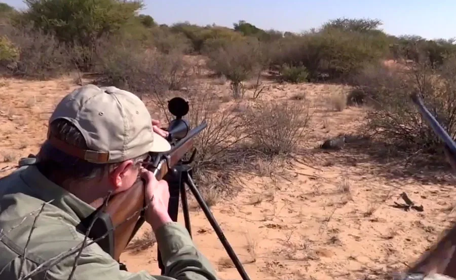 Grand Safari