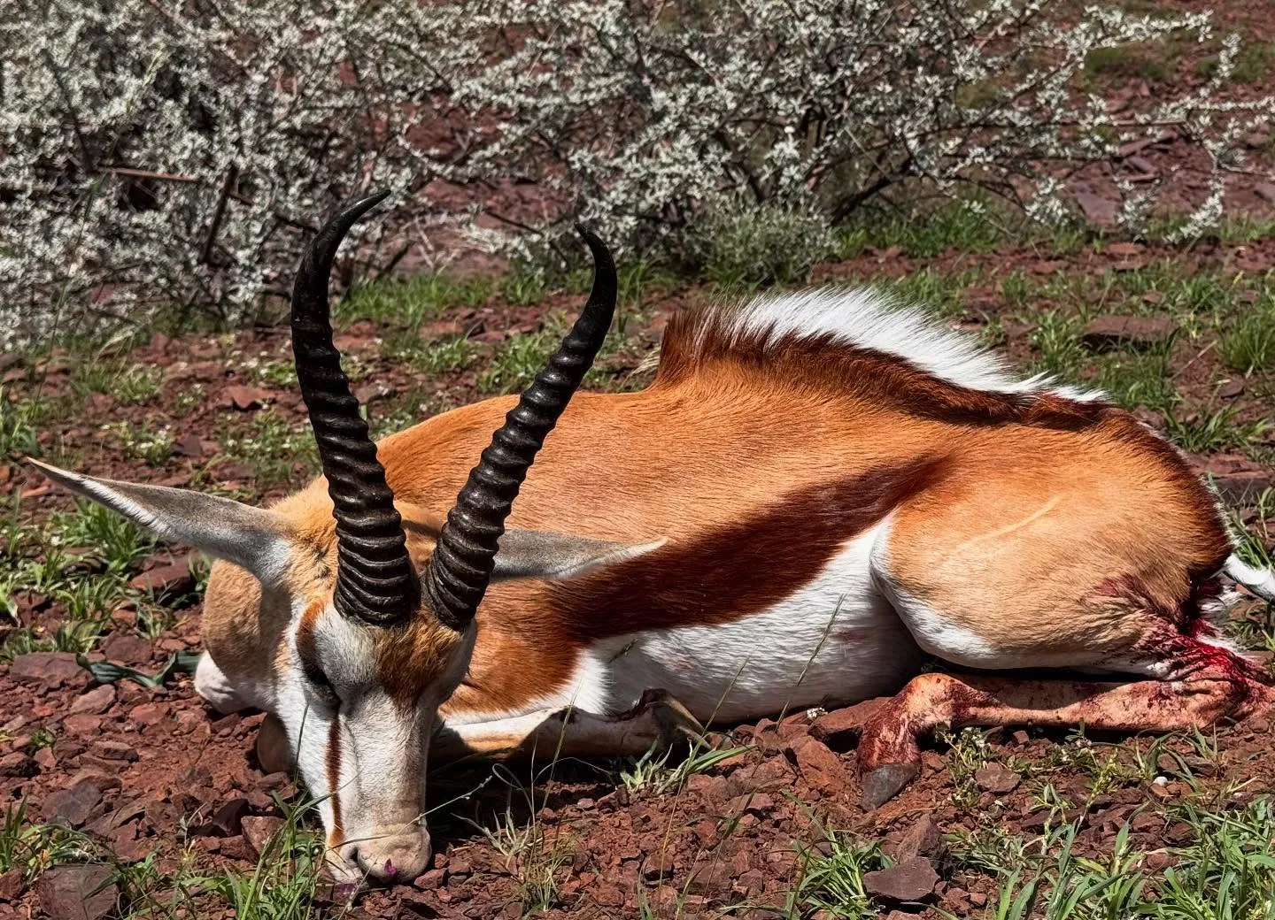 Gras Hunting Farm