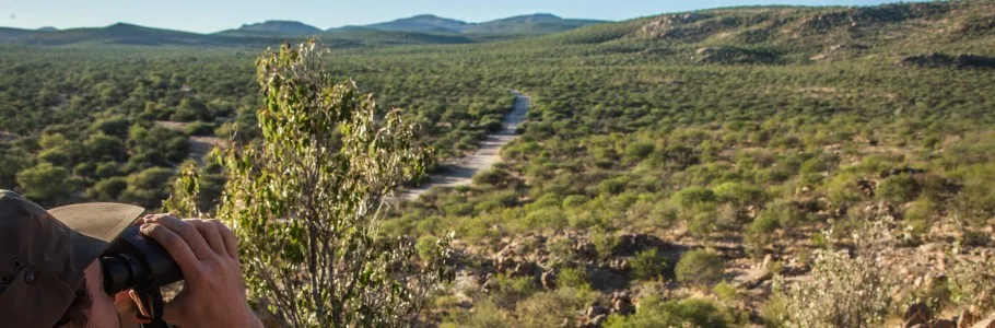 Erongo Herzog Hunting_5.jpg