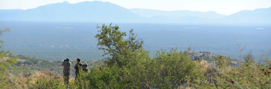 Erongo Herzog Hunting_2.jpg
