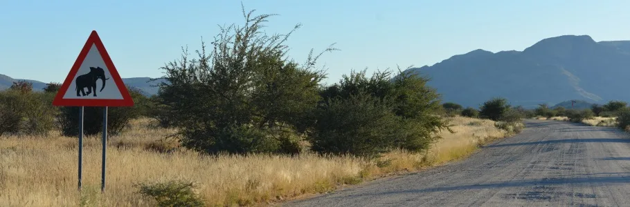 Erongo Herzog Hunting_3.jpg