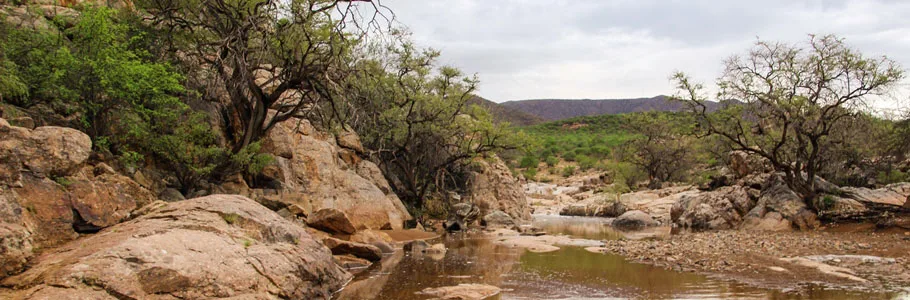 Erongo Namibia_4.jpg