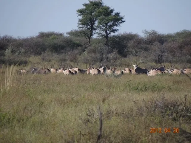 Hetaku Safari Lodge