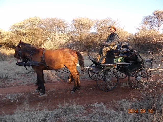 Hetaku Safari Lodge