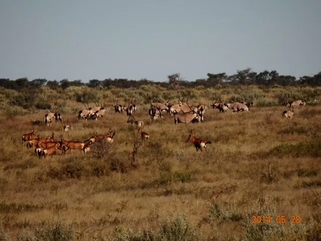 Hetaku Safari Lodge