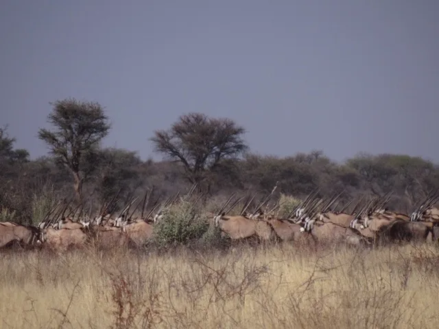 Hetaku Safari Lodge