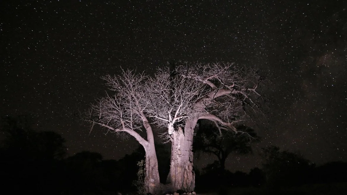 Huntafrica Namibia