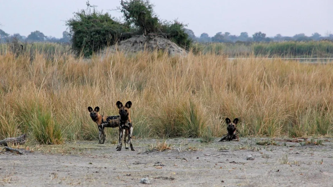 Huntafrica Namibia