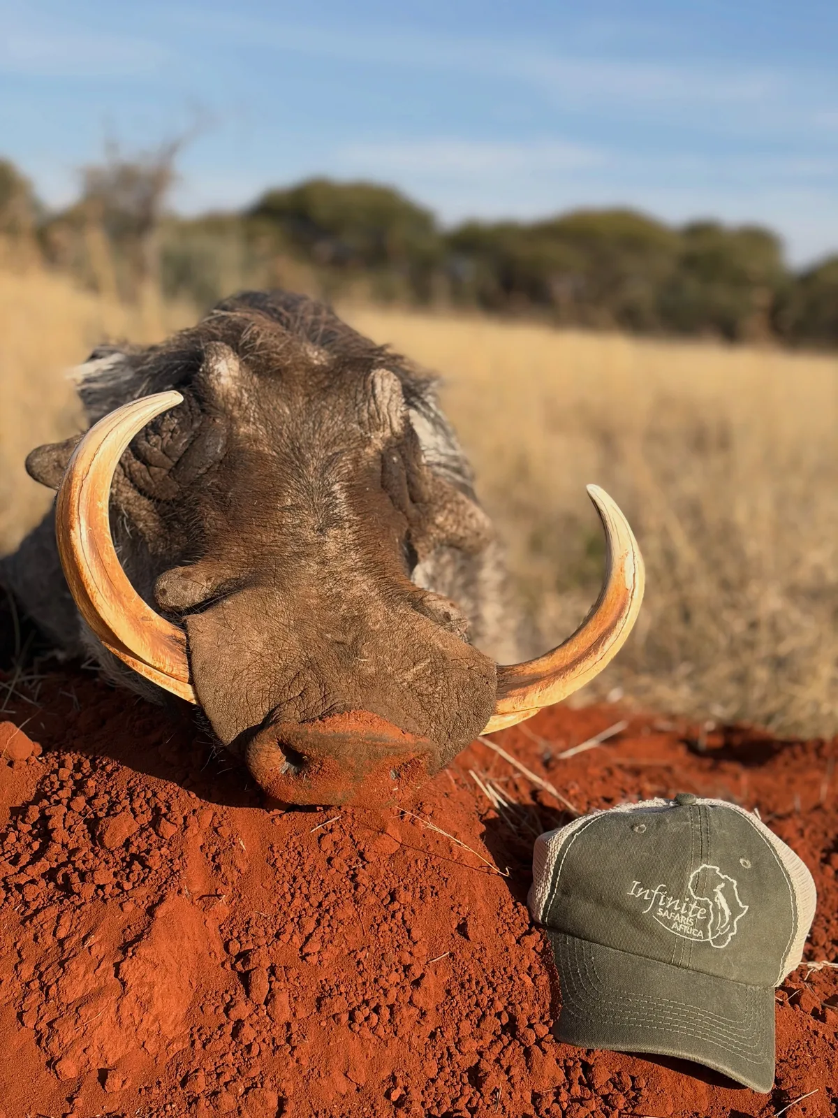 Infinite Safaris Africa